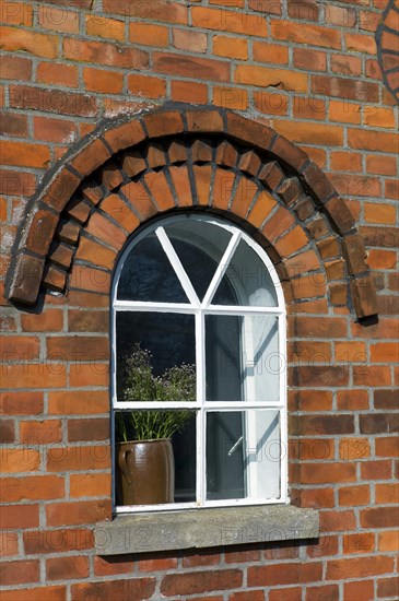 Stoneware pot with babys breath behind a window