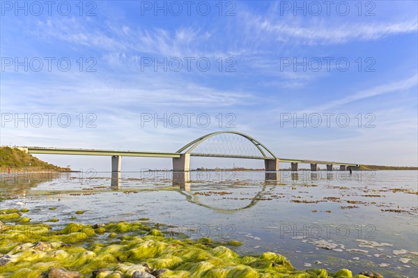 Fehmarn Sound Bridge