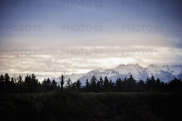 View of the Austrian Alps in the morning light. Widnau