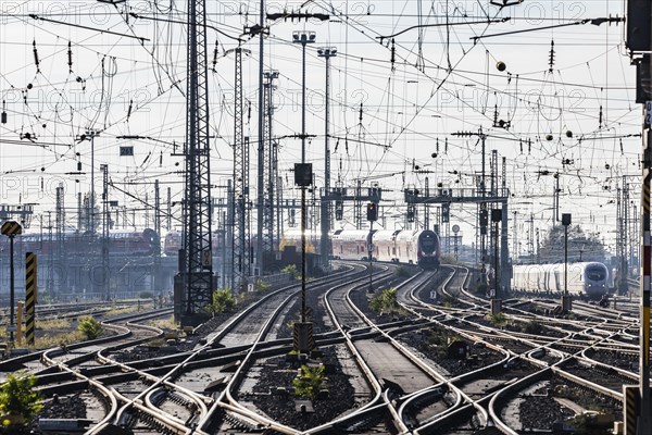 Track apron with rails