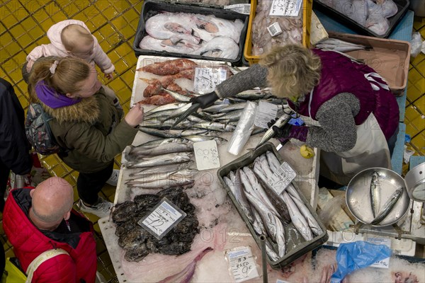 Birds eye view colour photo of a stall full of different fish