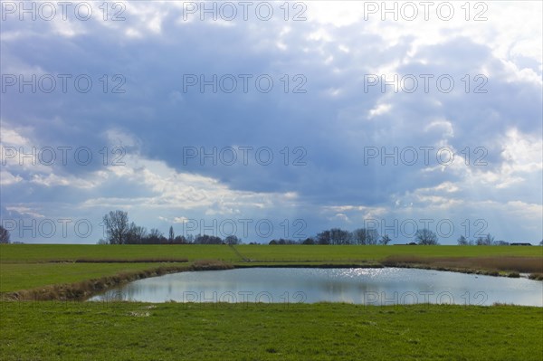 Puett in the dyke foreland near Fedderwardersiel