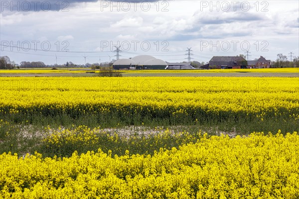 Biogas plant in Dithmarschen