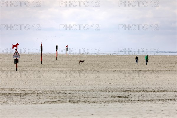 North Sea coast