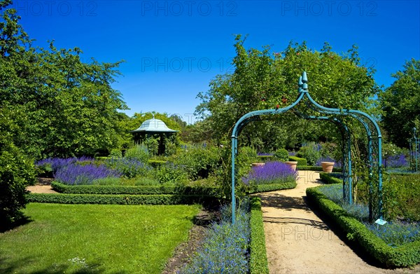 In the Ellerhoop Arboretum