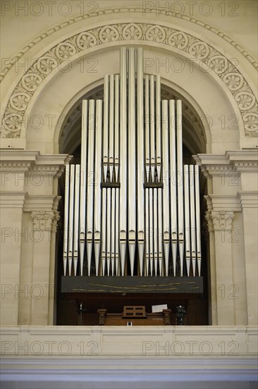 Organ