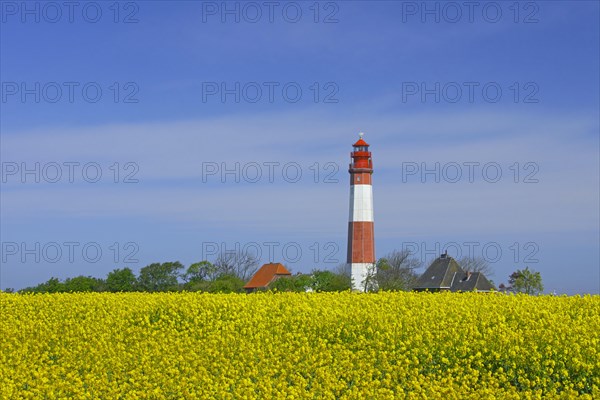 Lighthouse Fluegge