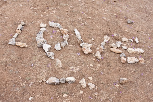 Love on the Matagrande plateau