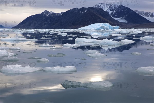 Ice floe and iceberg floating in the Lilliehookfjorden