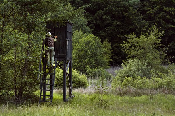 Hunters at the raised hide