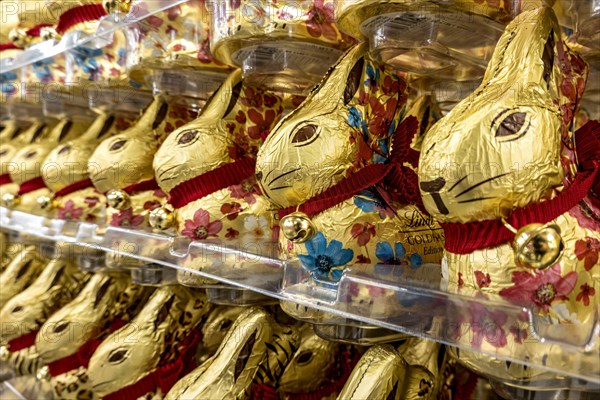 Many chocolate Easter bunnies