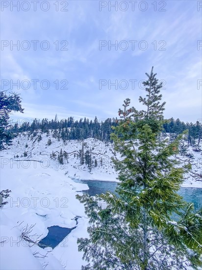 Iced rapids Bow Falls