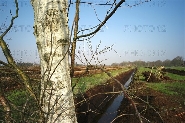 Peat cutting in the Wesermarsch region