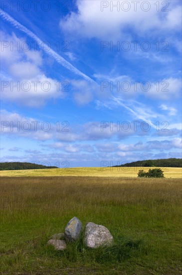 Landscape near the Koenigsstuhl