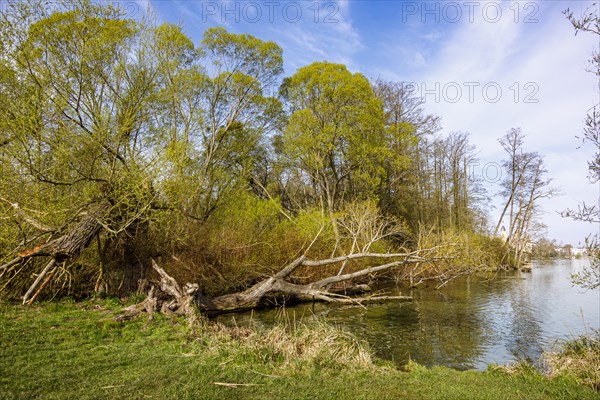 Landscape conservation area at Lake Schwerin