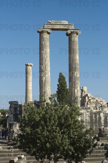 The Temple of Apollo