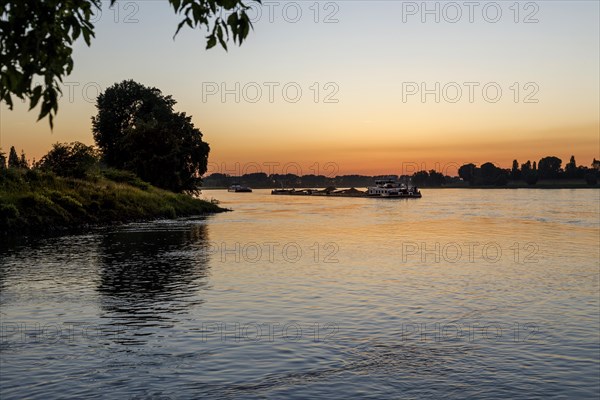 Freighter on the Rhine in the evening