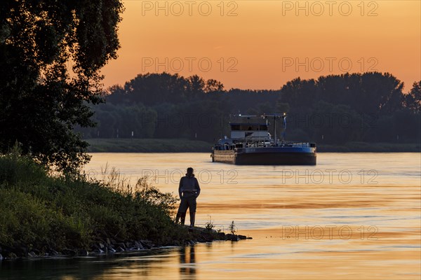 Freighter on the Rhine in the evening