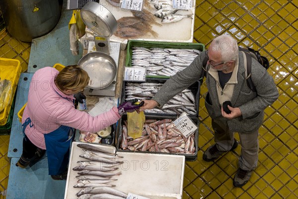 Birds eye colour photo of a stall full of different fish