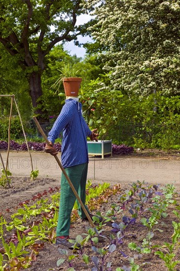 Scarecrow in the Botanical Garden