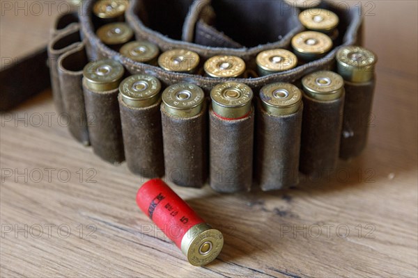 Cartridge belt with shotgun ammunition calibre 12