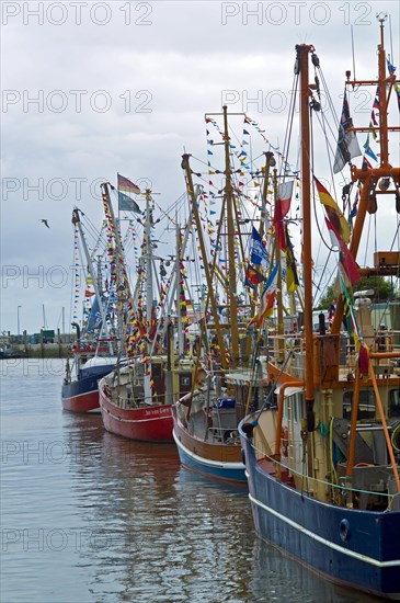 Decorated crab cutter in the harbour of Neuharlingersiel