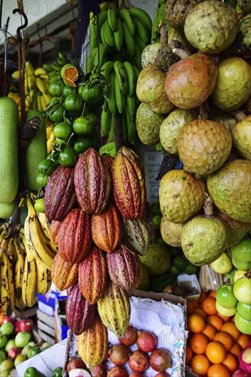 Cocoa fruit at the market in Kandy