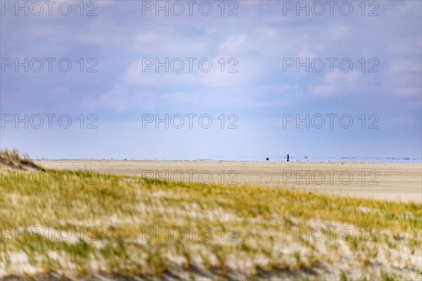 Beach by the dunes