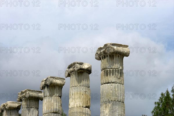 Lonic columns