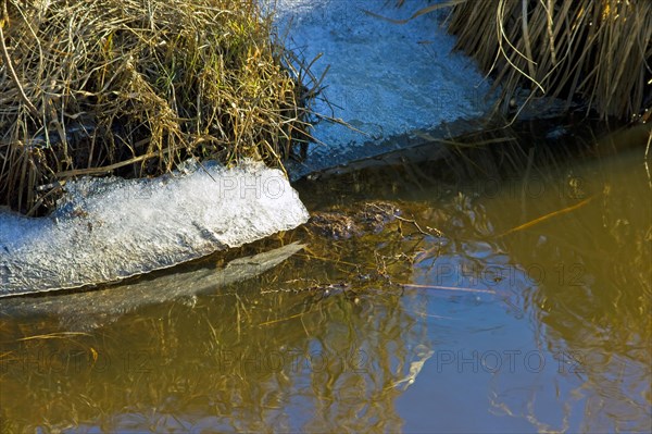 Ice remains at the edge of a watercourse
