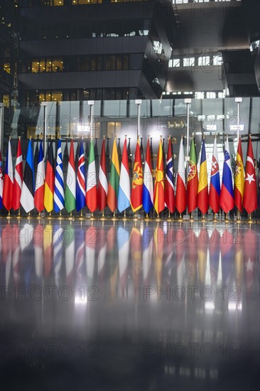 Flags in the main hall