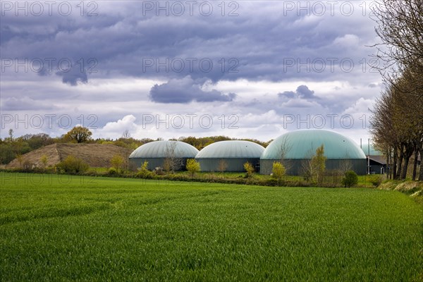 Biogas plant