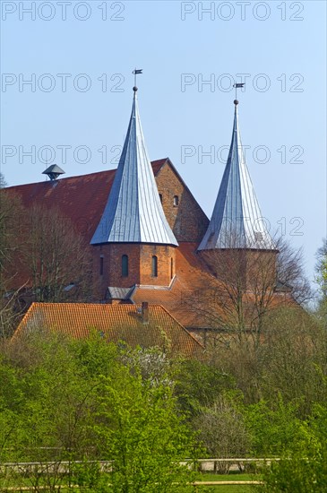 The cathedral at Bardowick in the district of Lueneburg