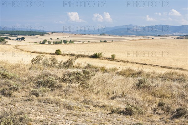 Great expanse in front of Ages