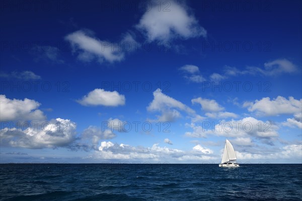 Sailing Catamaran