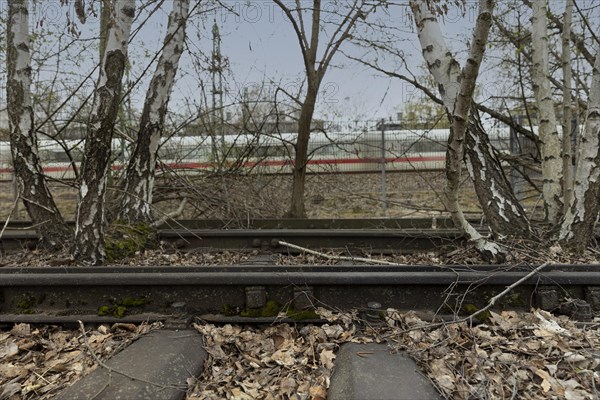 Old Deutsche Bahn tracks in Berlin. Symbolic image of the condition of Deutsche Bahns tracks