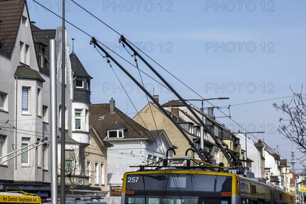 Trolleybuses