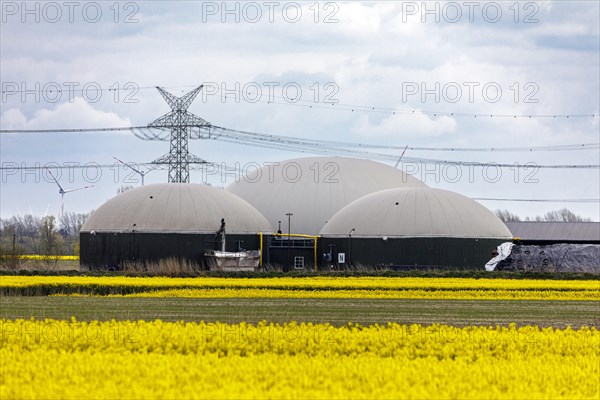 Biogas plant in Dithmarschen