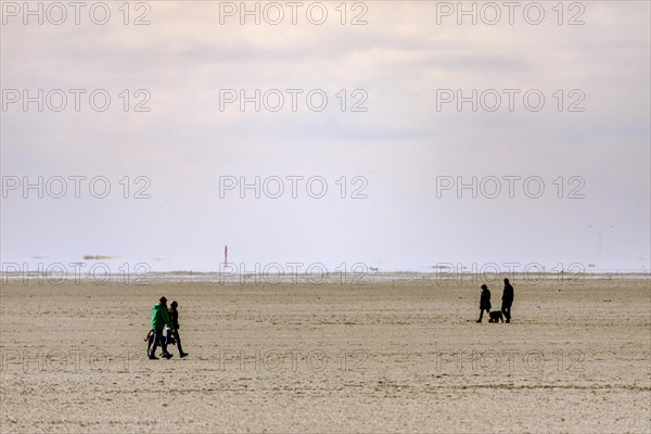 North Sea coast