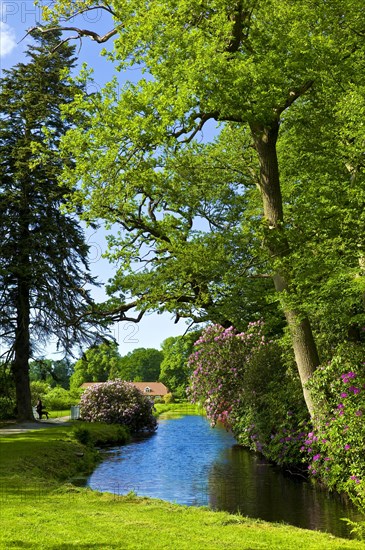 Luetetsburg Castle Castle Park