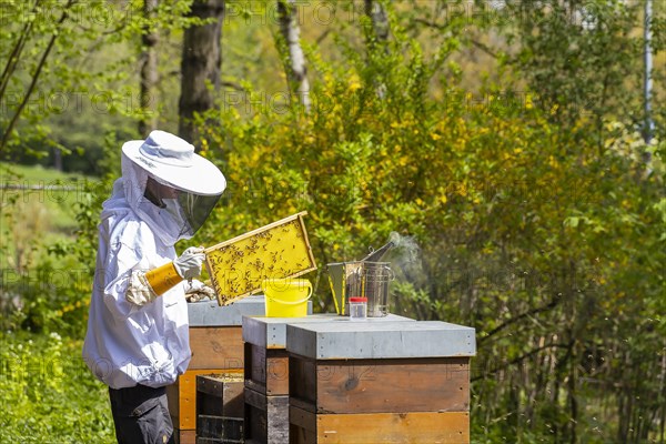 Beekeeper with smoker