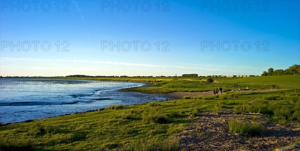 Bathing beach on the Elbe near Glueckstadt