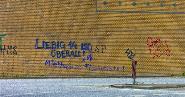 Graffiti on a wall Rent sharks to fish fingers