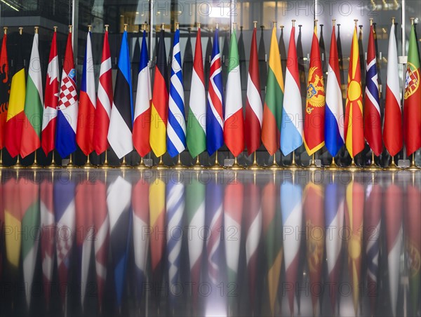 Flags in the main hall