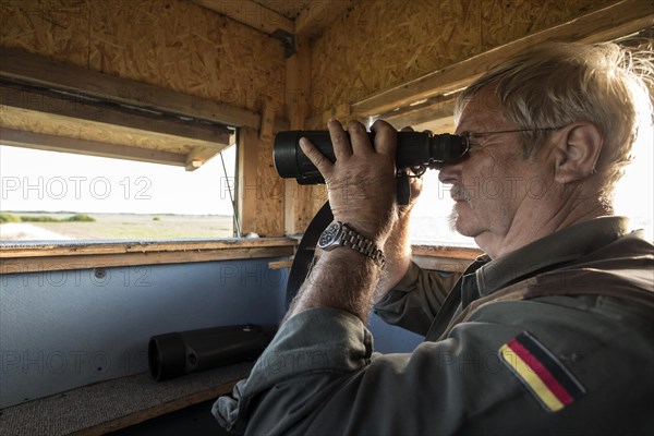 Hunter at a raised hide