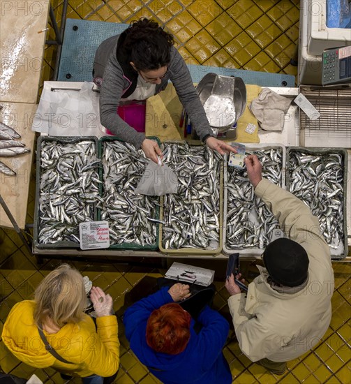 Birds eye colour photo of a stall full of sardines with the seller and a buyer