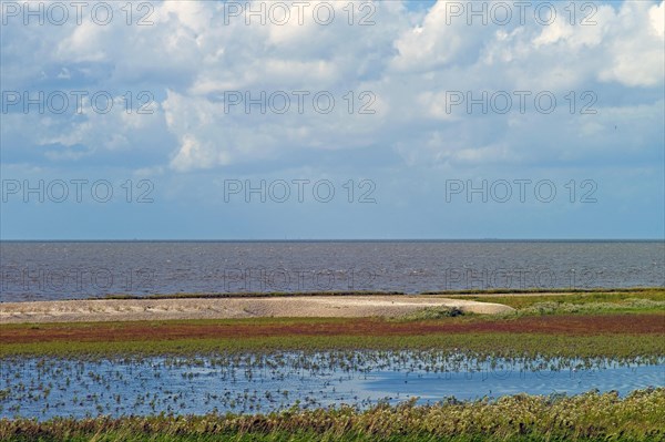 Wadden Sea at high tide