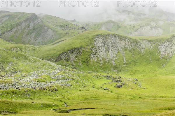 Col du Lautaret