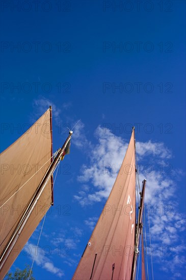 The sails of a Zeesen boat