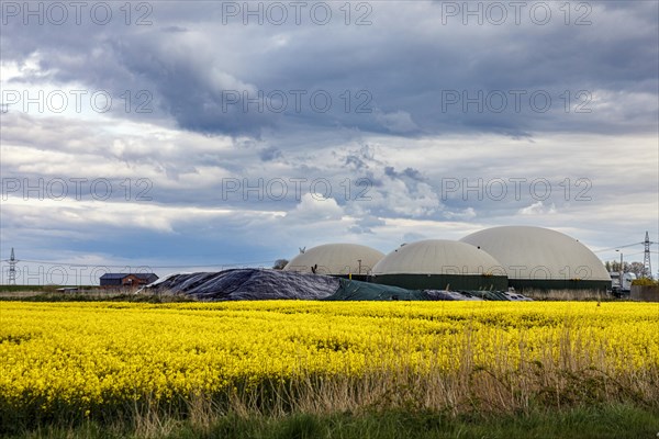 Biogas plant in Dithmarschen